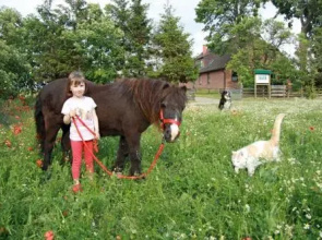 Ostseebauernhof Familie Jäger