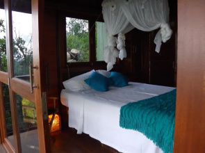 Bedarra Island Treetop Hideaway