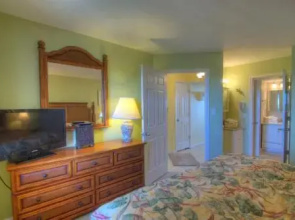 Ocean Forest 2011- Ocean Front