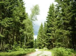 The Morrum River Bed and Breakfast