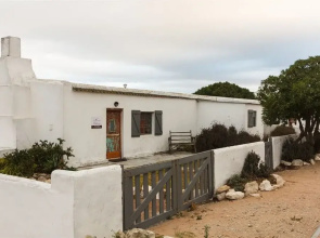 Kliphuisie, Paternoster