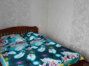 Guest house Michurina 48