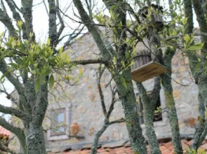 Casas Do Favacal - a Traditional Xisto House
