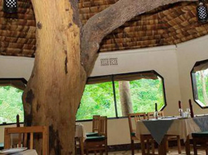 Ngorongoro Front Safari Lodge