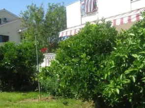 Apartments Grzunov