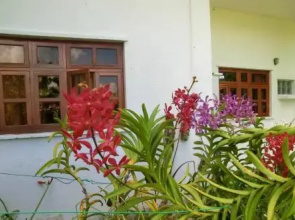 Orchid Sunset Guest House