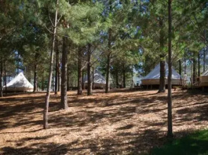 Cherry Glamping