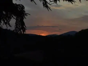 La Ginestra