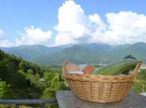 Agriturismo L'Ciabot