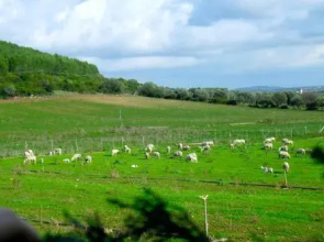 Agriturismo Arena Del Sol