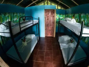 Corcovado Jungle Hostel