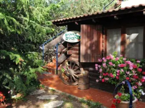 Kotcha in the Village