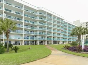 Plantation Palms 6408