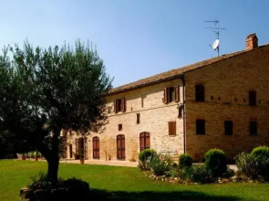 Il Gallo Del Vicino