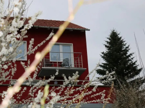 Ferienhaus-SweetHome-Hunde-willkommen