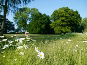 Jagdschloss Quitzin