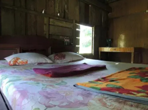 Laced Woodpecker Homestay