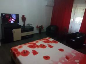 Studio Lujerului 2