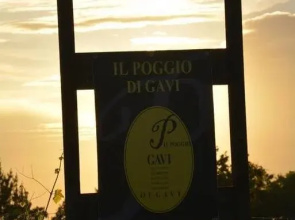 B&B Il Poggio di Gavi
