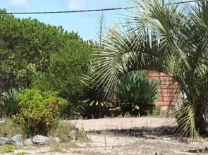 Dipoquito