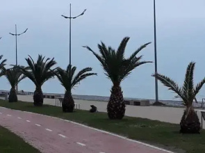 Orbi Plaza Batumi