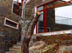 Casa d'Avó Faia