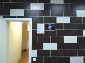 Mini-Hotel Shonguy