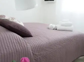 B&B Bucci 54