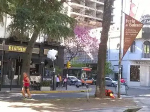 Studio Río