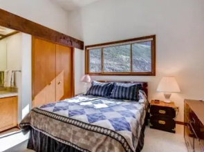 Ski-in/ski-out Condos In Crested Butte