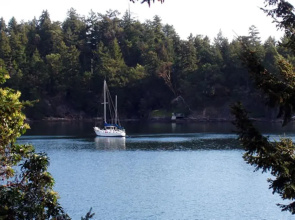 Arbutus Point Oceanfront B & B