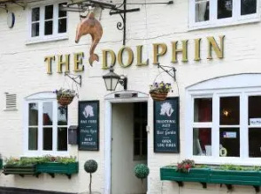 The Dolphin