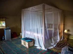 Firefly Ocean Camp