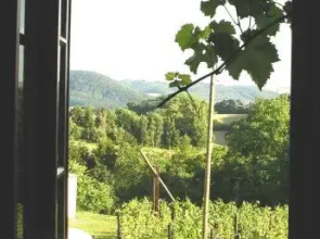 In der alten Weinstube