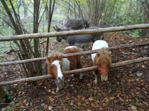 Winnewieser-Hof