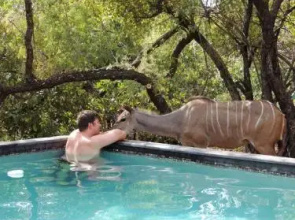 Honey Badger Safari House