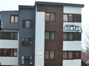 Pansion Winter