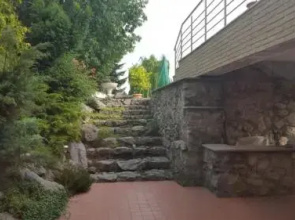 Zorii Zilei