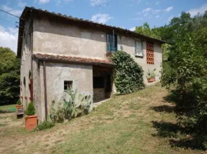 Al Laino