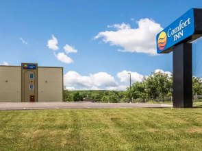 Comfort Inn Apalachin