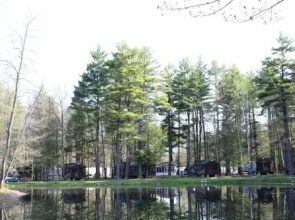 Alpine Lake Lakefront Cabin 9
