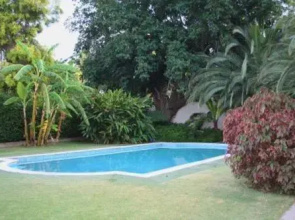 The LemonTree House