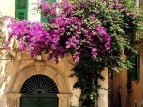 La "Casetta Rossa Del Borgo" Tropea