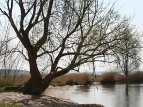 Gutshof Warthe