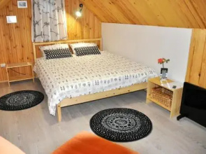 Guesthouse Na Borovoy