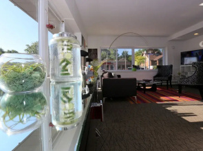 Hotel Royal Oak