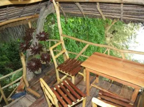Kumbuk Tree House