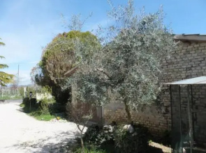 Cascina Antonini BB