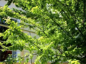 Sofia Filoxenia House