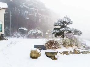 Seosan Pinehealing Pension